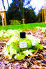 My Dream - Perfume 50ml - Private collection