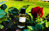Rose Vanille - Parfum 50ml - Collection privée