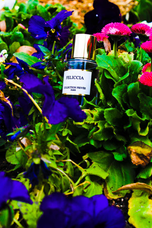 Feliccia - Parfum 50ml - Collection privée