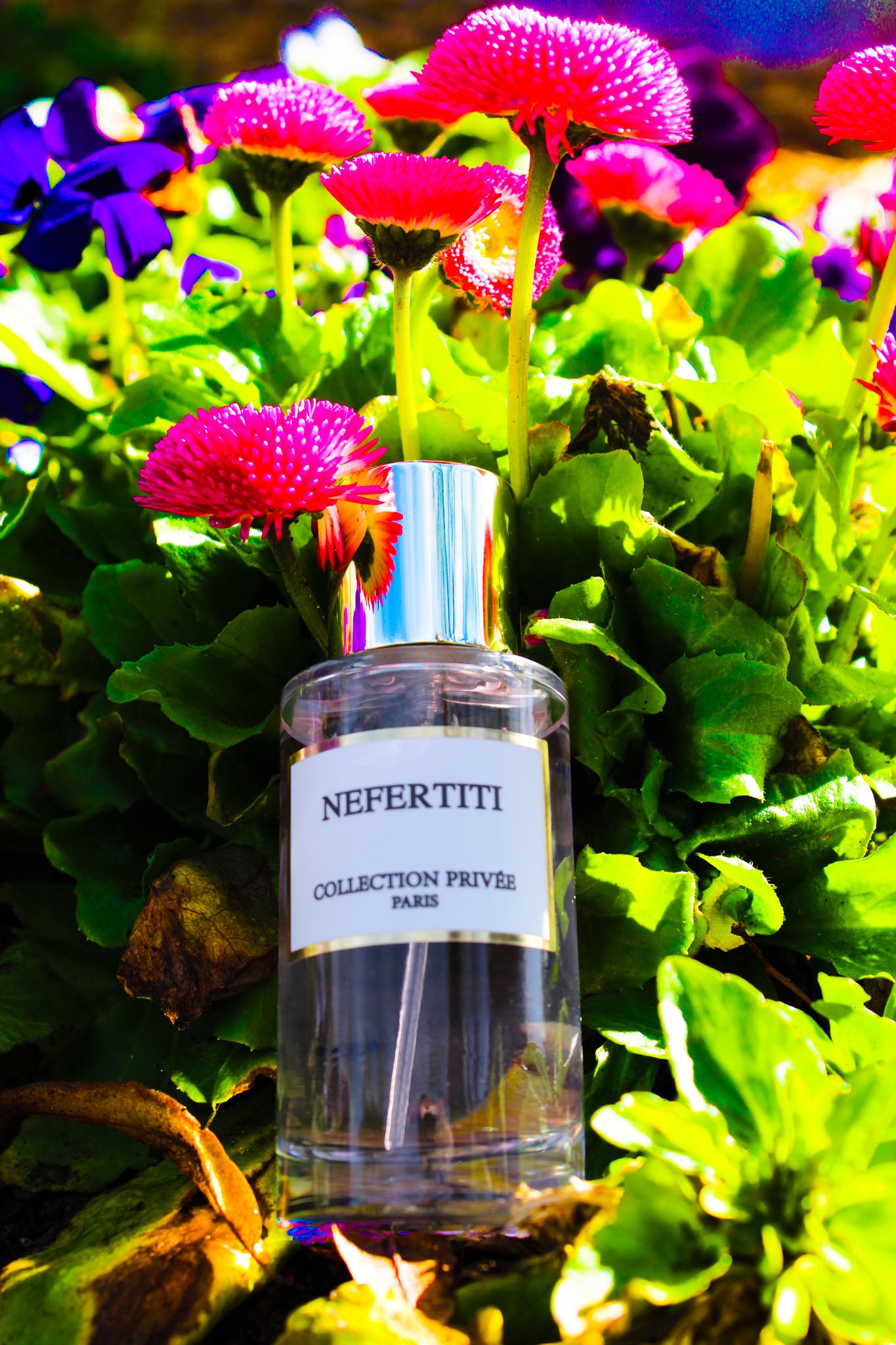 Nefertiti Perfume 50ml Private collection - Main Image